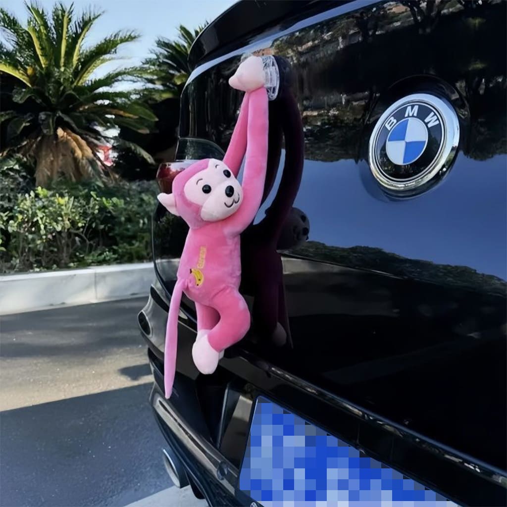 cute car decorations