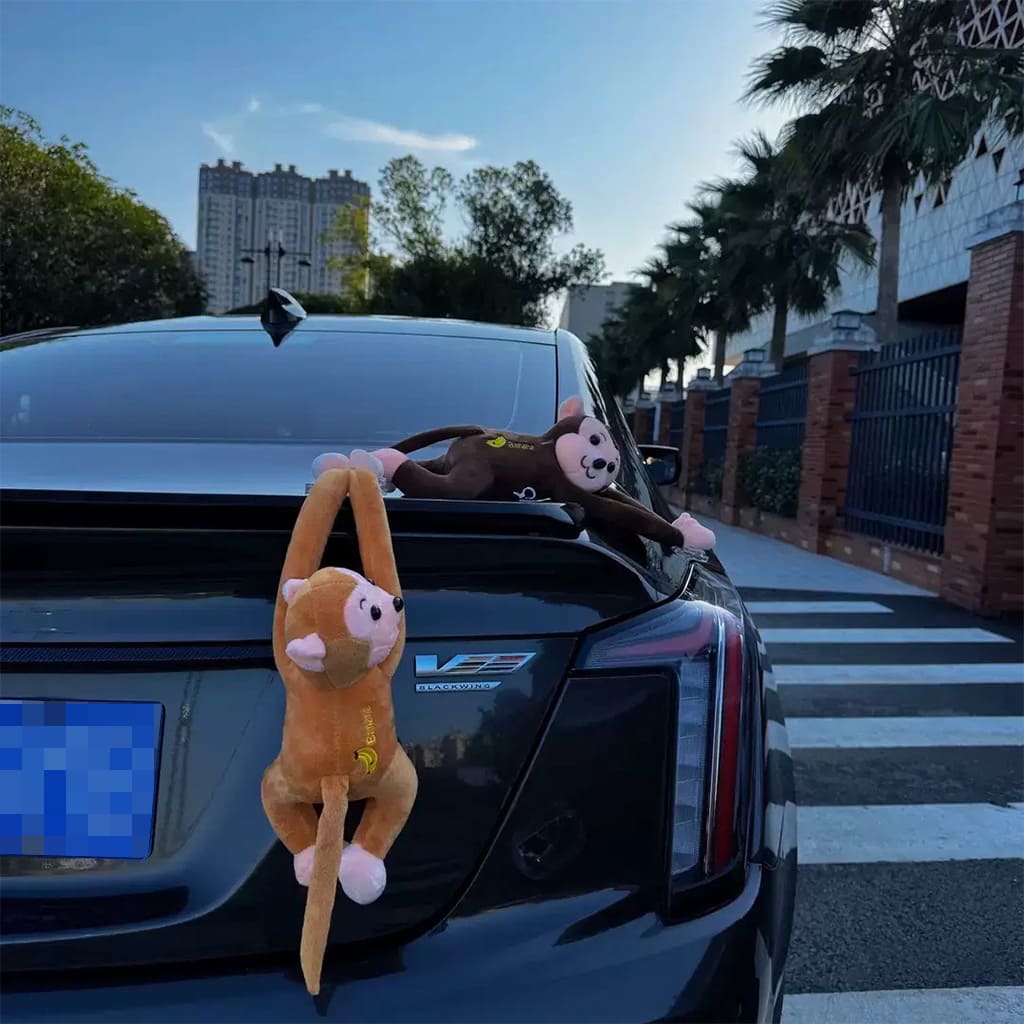 interesting car accessories