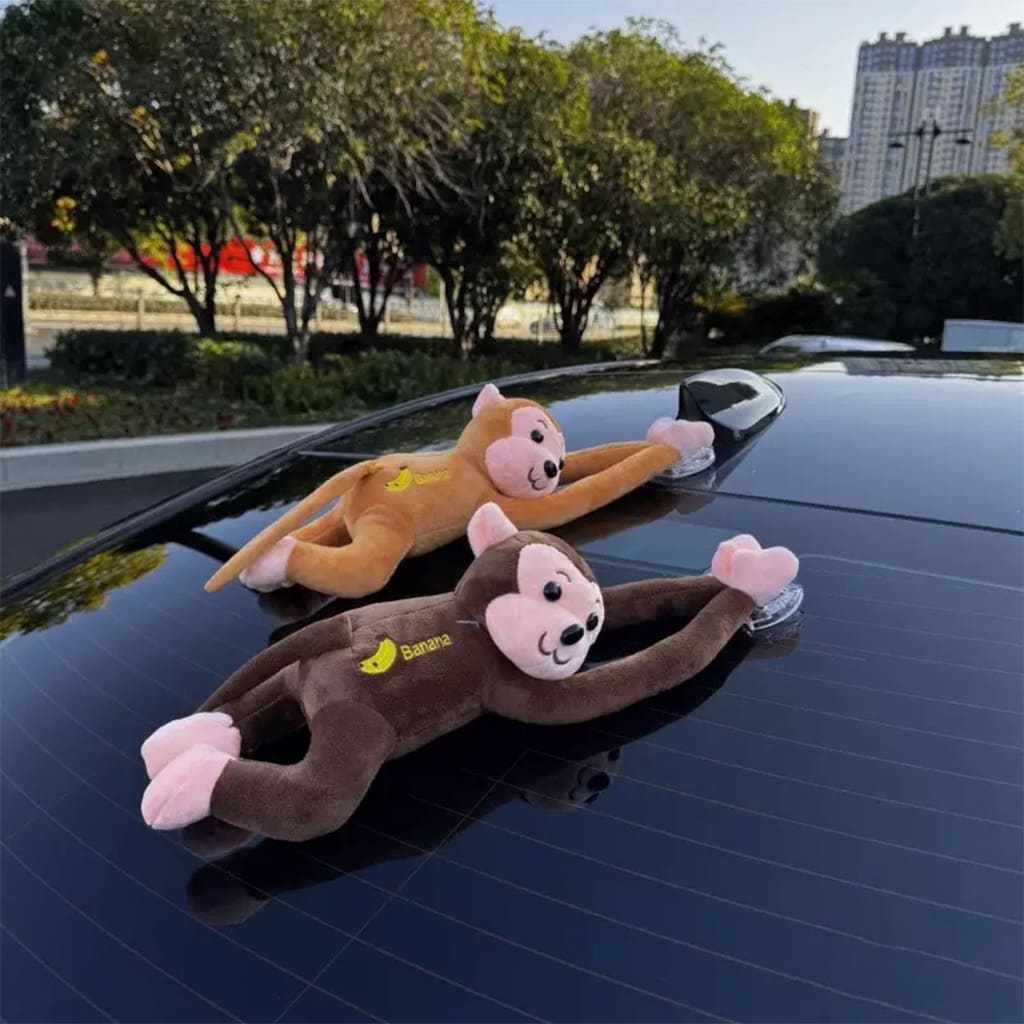 trendsetting car accessories