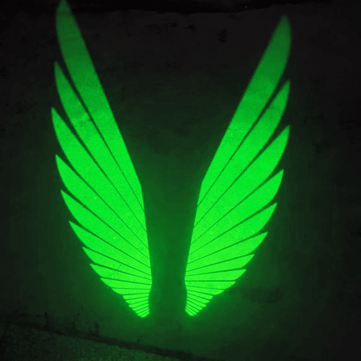 Green_angel_wings_car_mirror_light