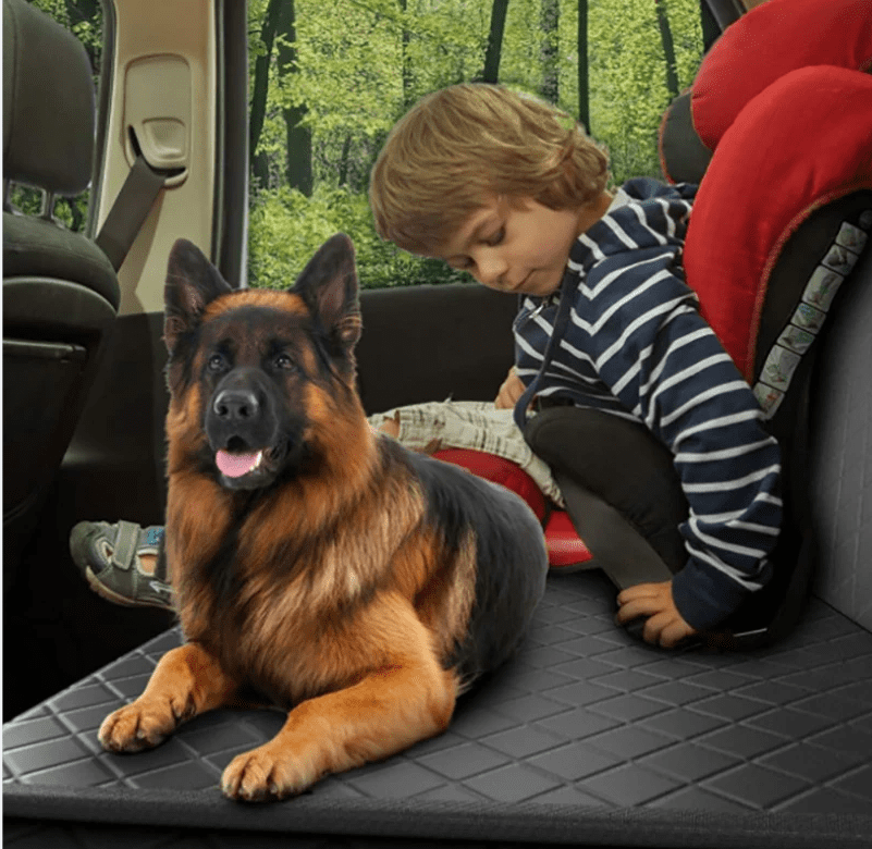 car_seat_cover_for_dogs