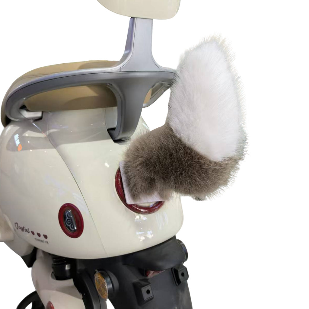 Electric Tail with Remote for eBike