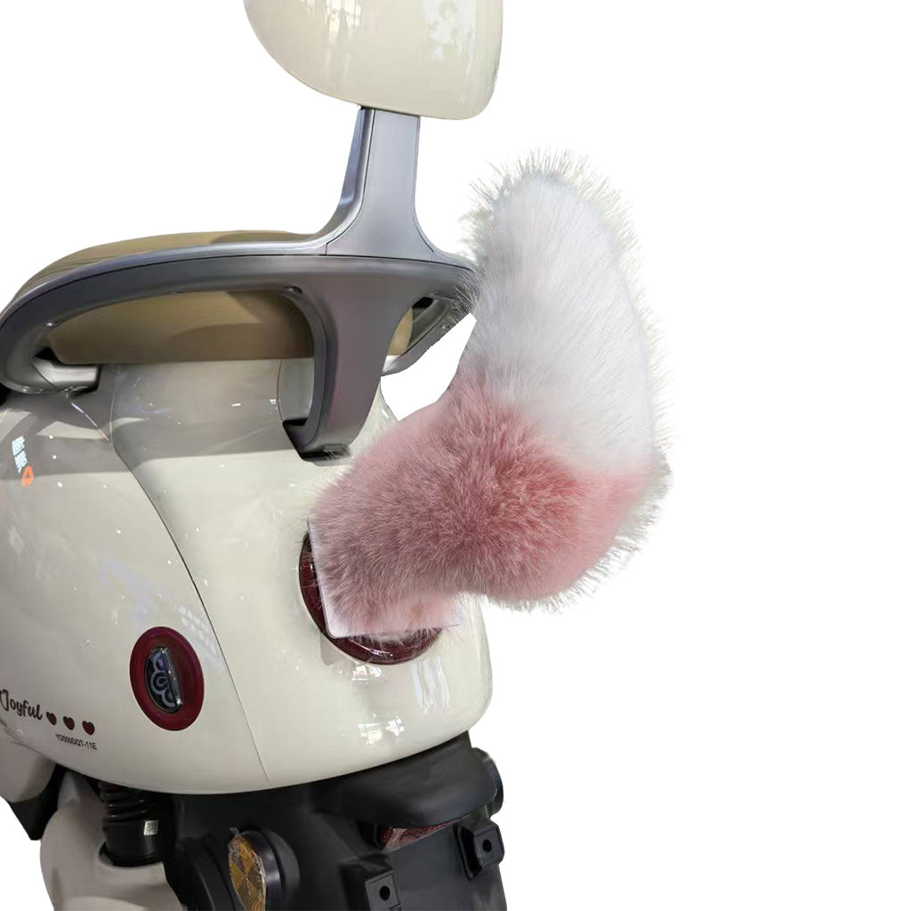 Electric Tail with Remote for eBike