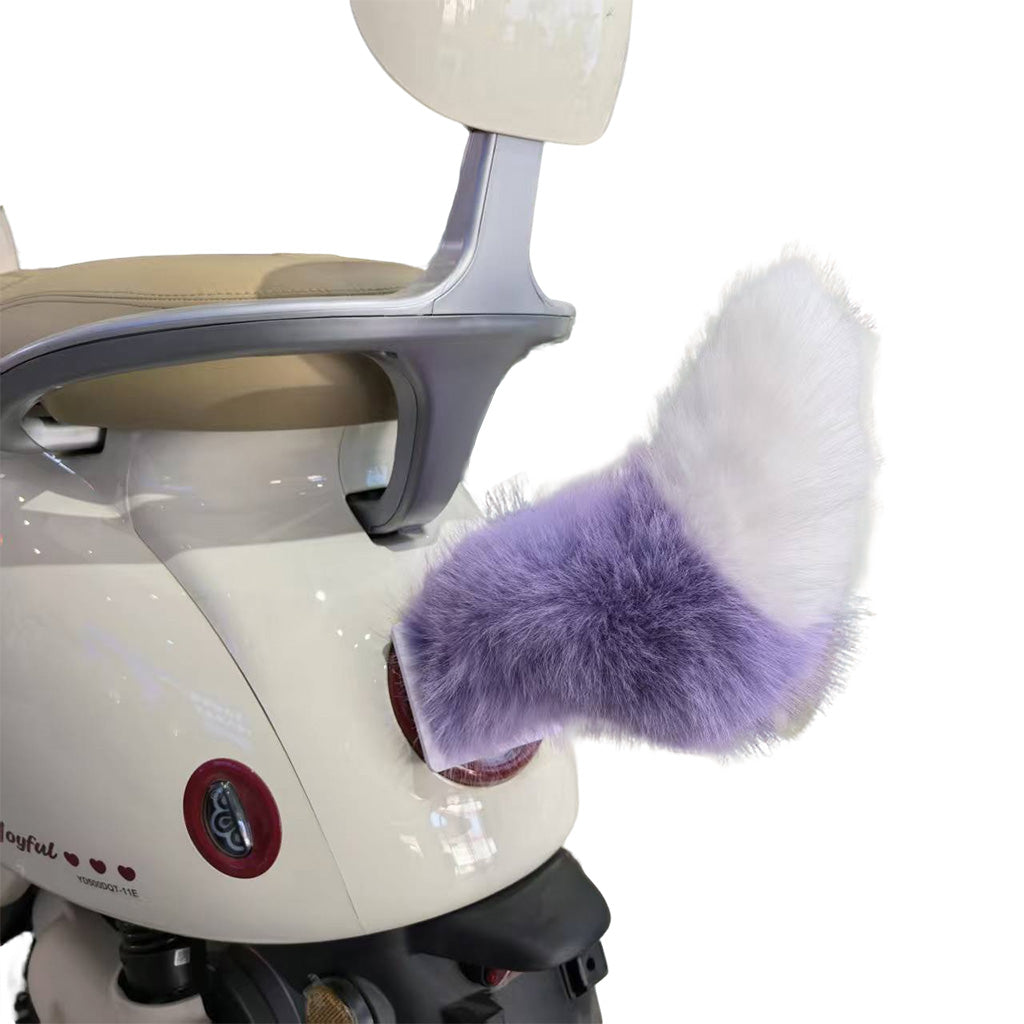 Electric Tail with Remote for eBike