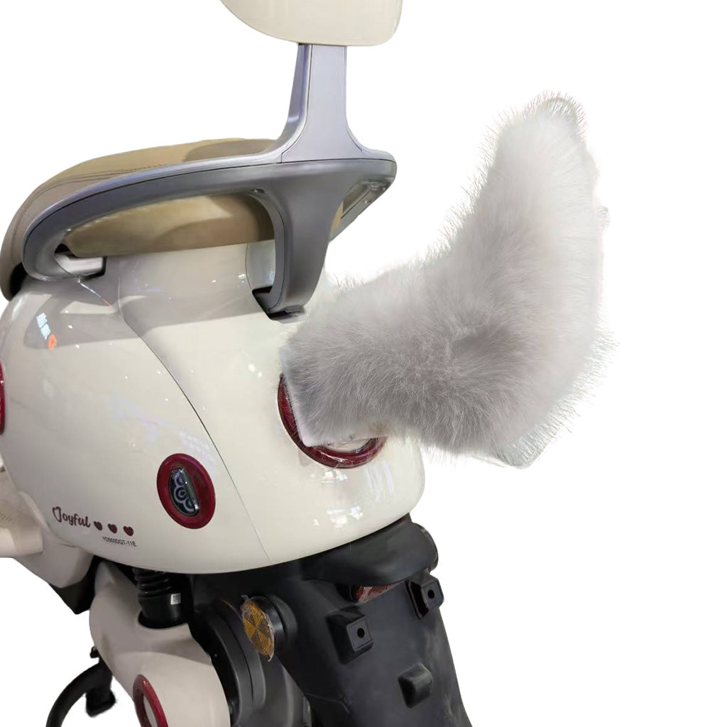 Electric Tail with Remote for eBike