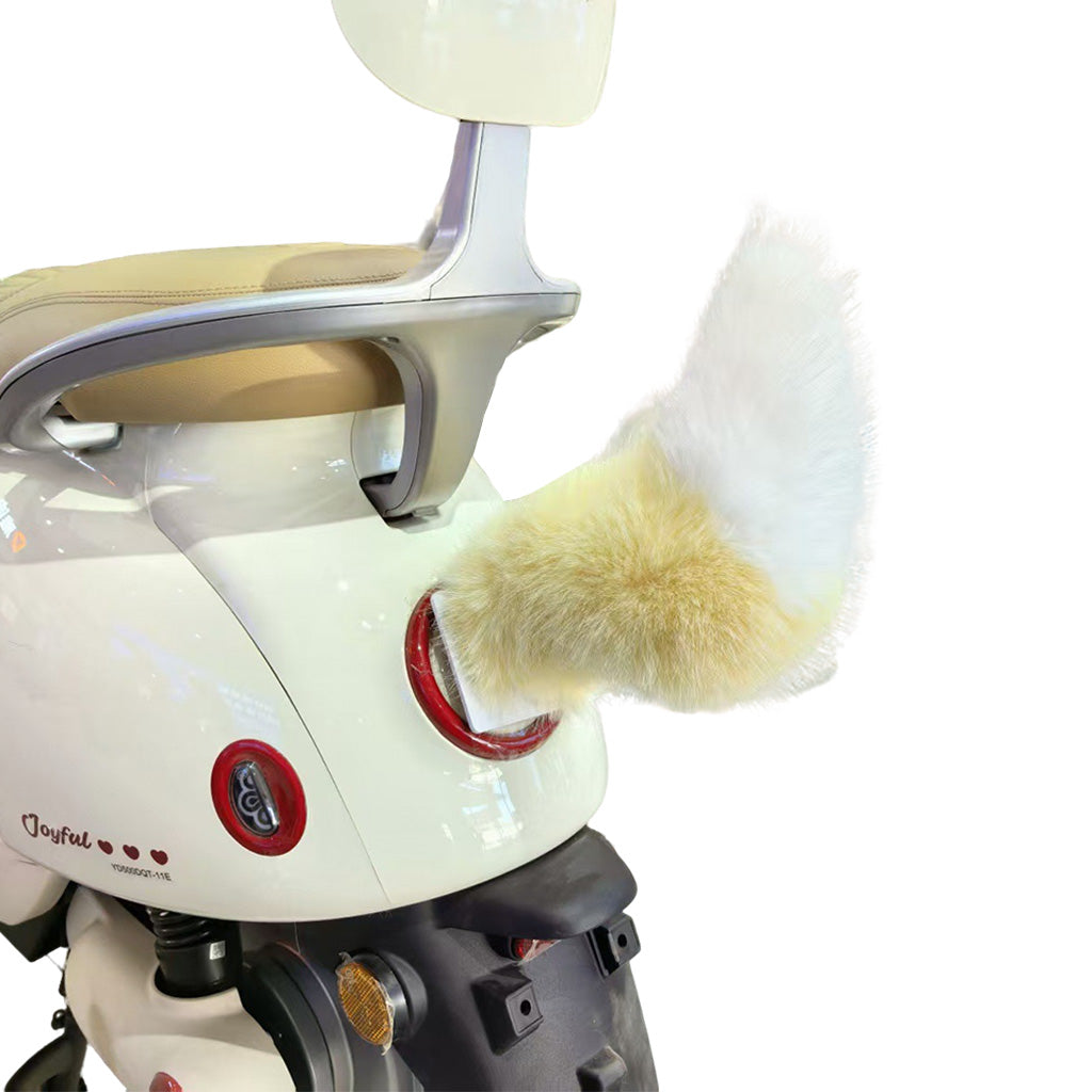 Electric Tail with Remote for eBike