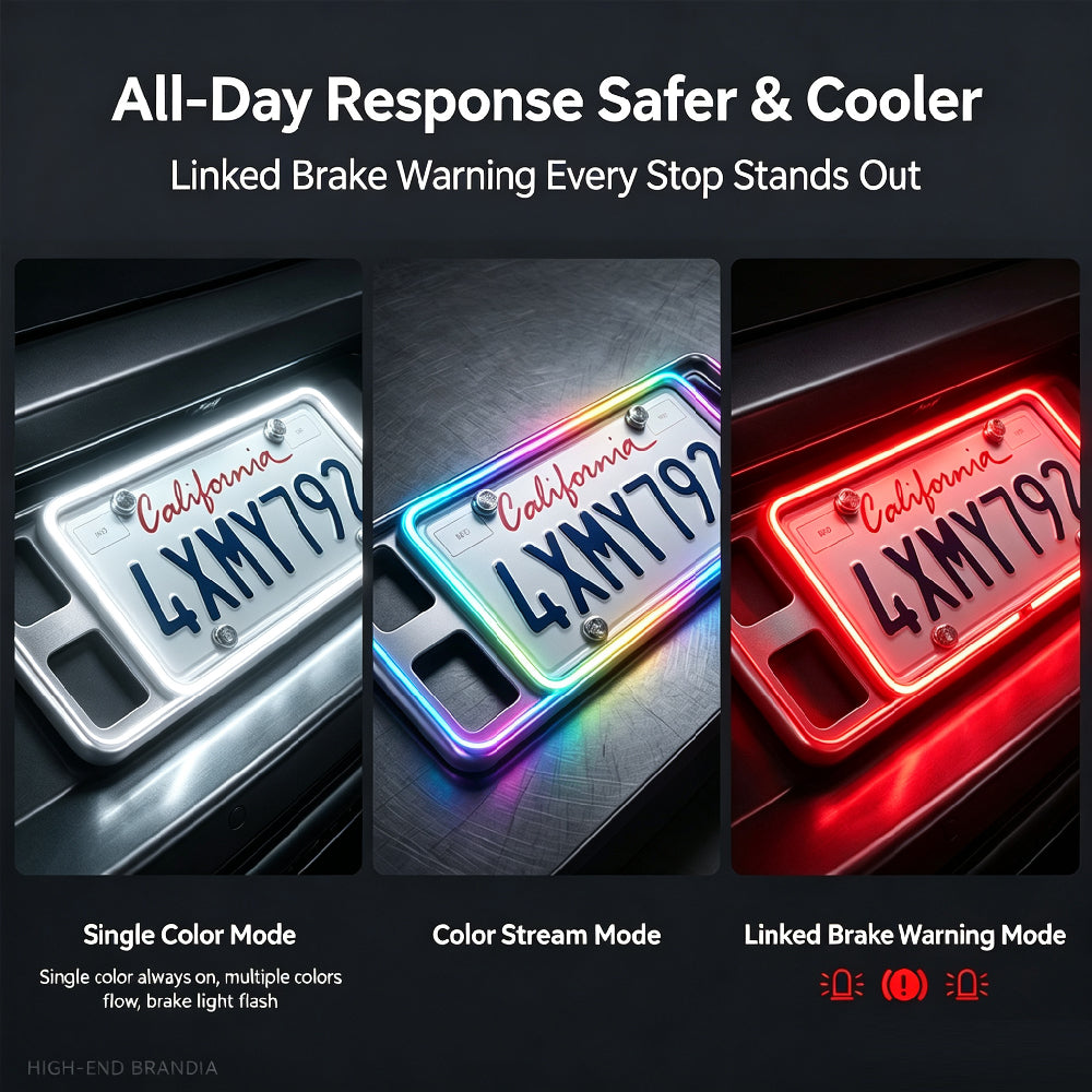 RGB LED License Plate Frame